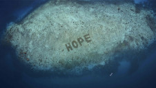 Image: Sheba/TheNature Conservancy